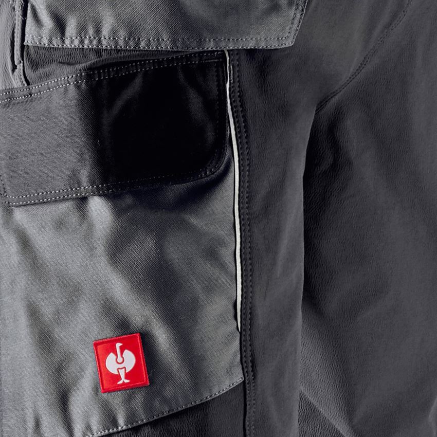 Pracovní kalhoty: Funkční cargo kalhoty e.s.dynashield + cement/grafit 2
