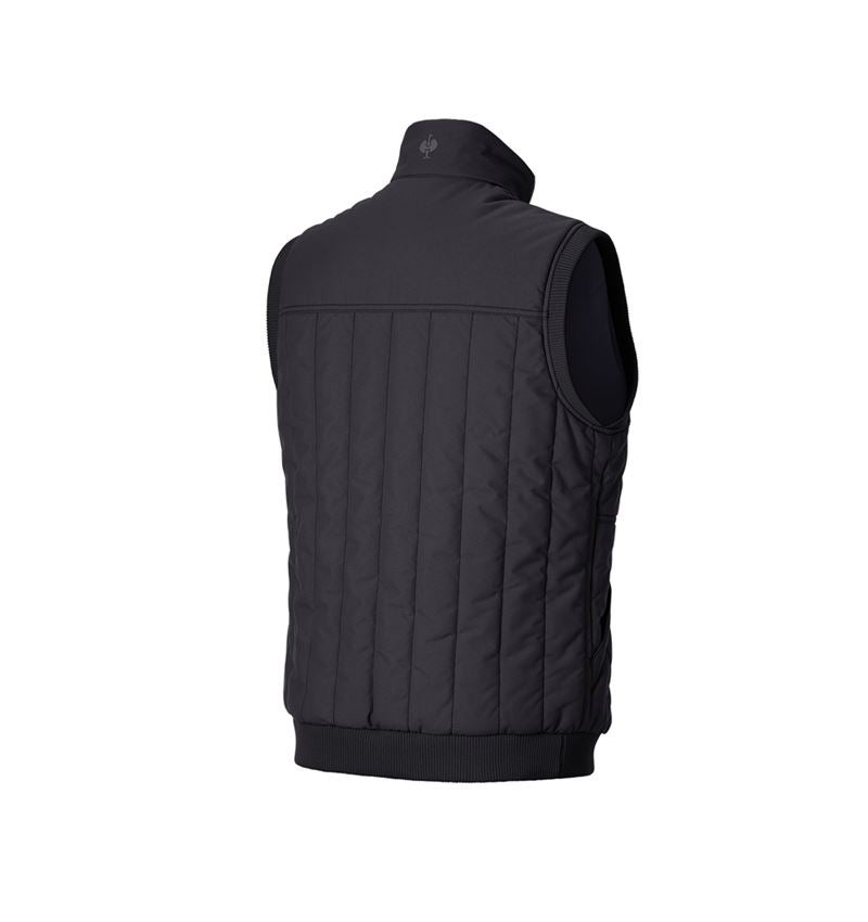 Pracovní vesty: Vesta e.s.iconic + černá 5