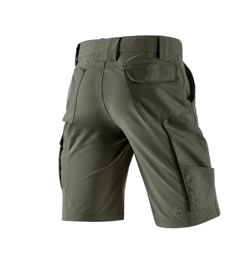 Pracovní kalhoty: Funkční short e.s.dynashield solid + tymián 6