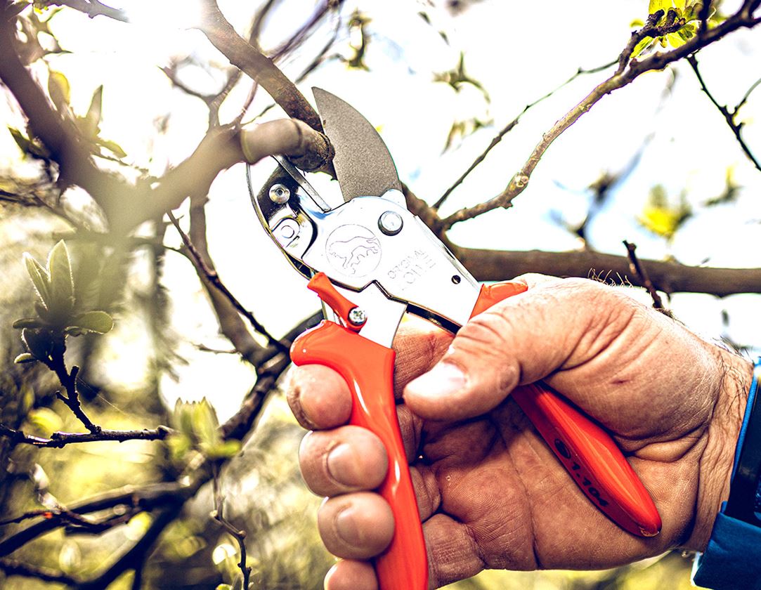 Nůžky: Löwe náhradní čepele