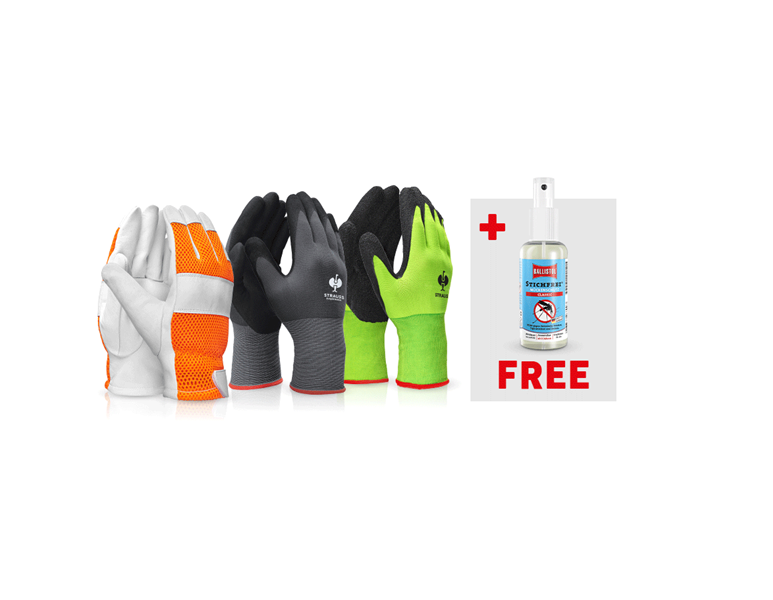 Main view, SALE, Gloves set + FREE Ballistol spray bite-free