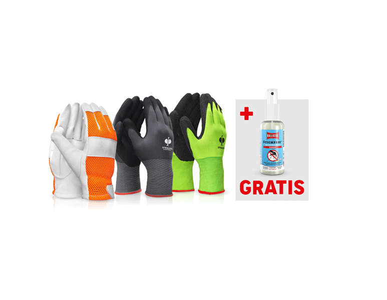 Hauptansicht, Arbeitsschutz, Handschuh-Set + GRATIS Ballistol Stichfrei