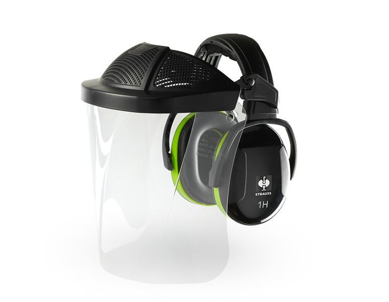 Main view, Face Protection, e.s. Facial protector+ prot. cups combi Industry