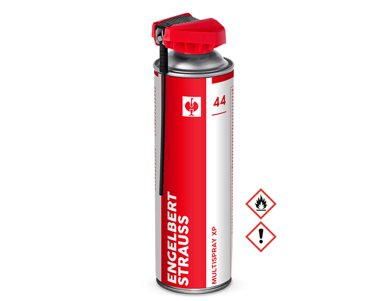 Vue principale, Besoin opérationnel, e.s. multispray xp, 500ml #44