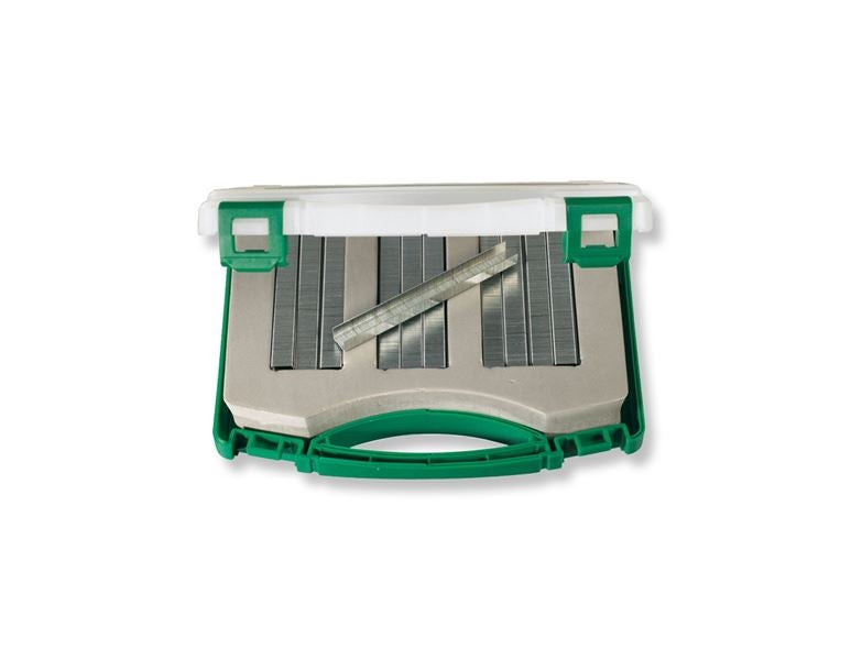 Vue principale, Accessoires d'outillages à air comprimé, Assortiment d'agrafes Prebena de type A