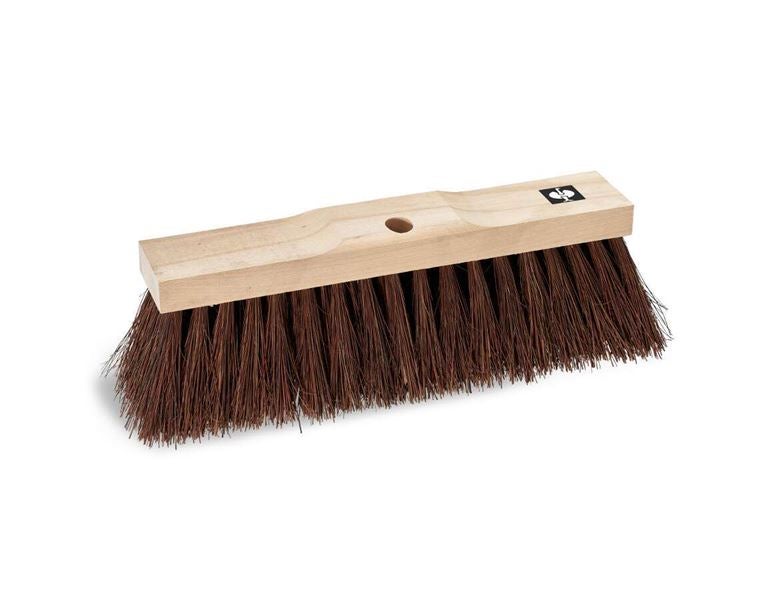 Main view, Brooms, Bahia Bristle