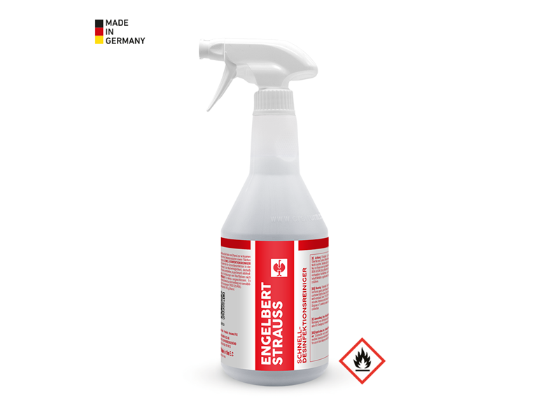 Vue principale, Produit nettoyant, Désinfectant rapide, 750ml