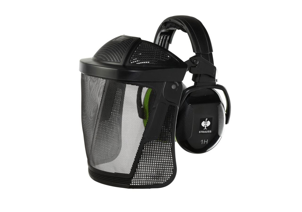 Ear Defenders: e.s. Facial protector and protector cups combi