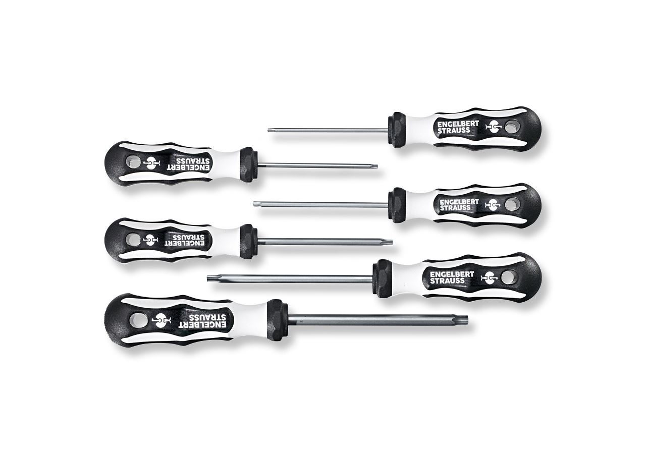 Screwdrivers: TX screwdriver set, stainless steel