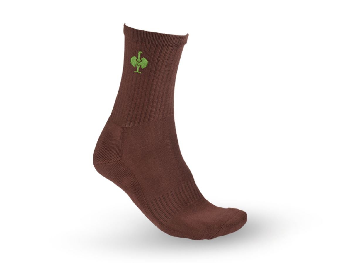 Socks: e.s. Allround socks Classic light/high, pack of 3 + chestnut/seagreen