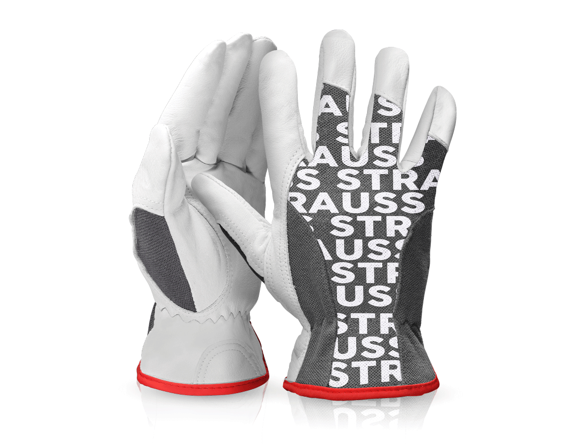 Leather: Nappa leather driving gloves Driver Profi