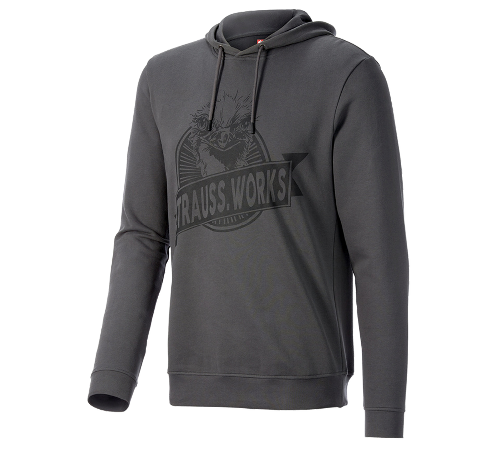 Topics: Hoody sweatshirt e.s.iconic works + carbongrey
