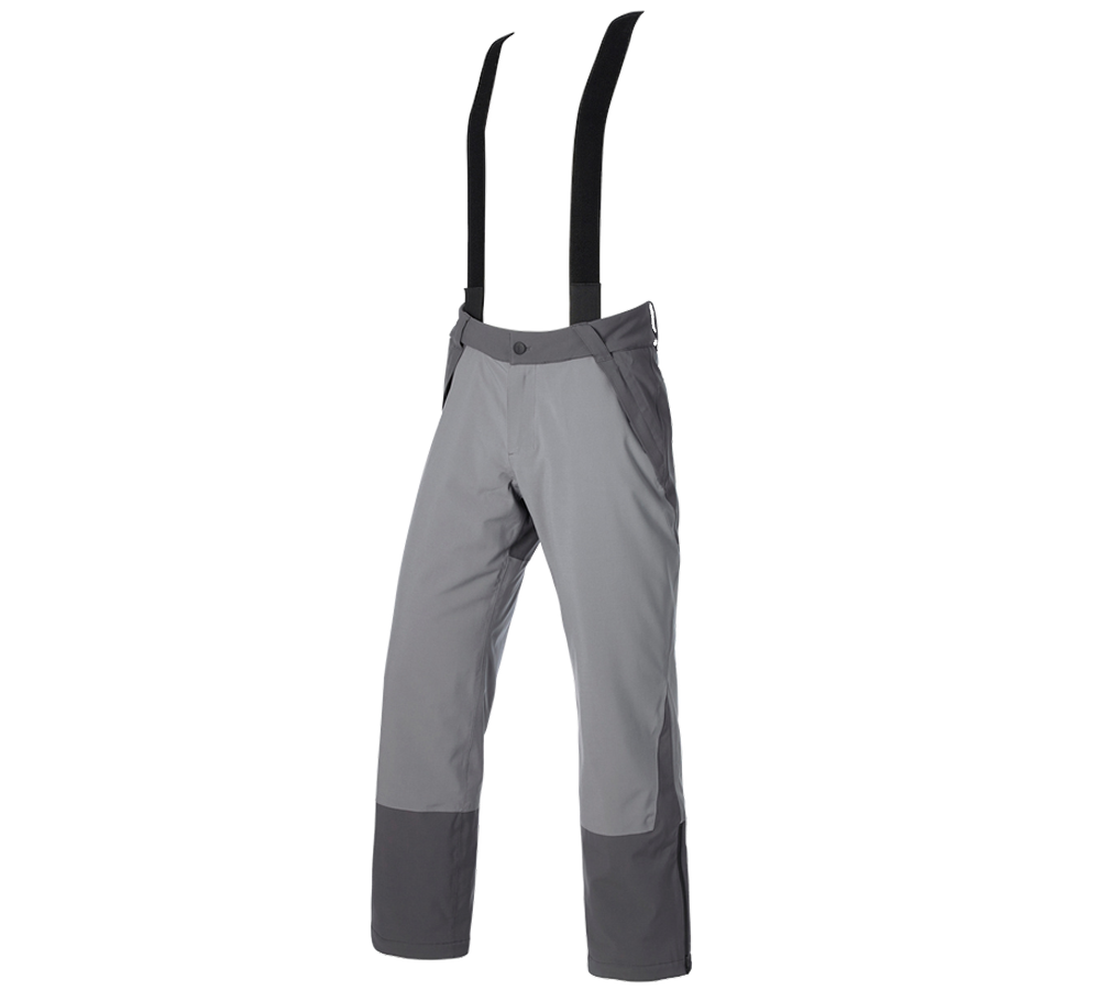 Work Trousers: Functional trousers e.s.trail snow + carbongrey/basaltgrey