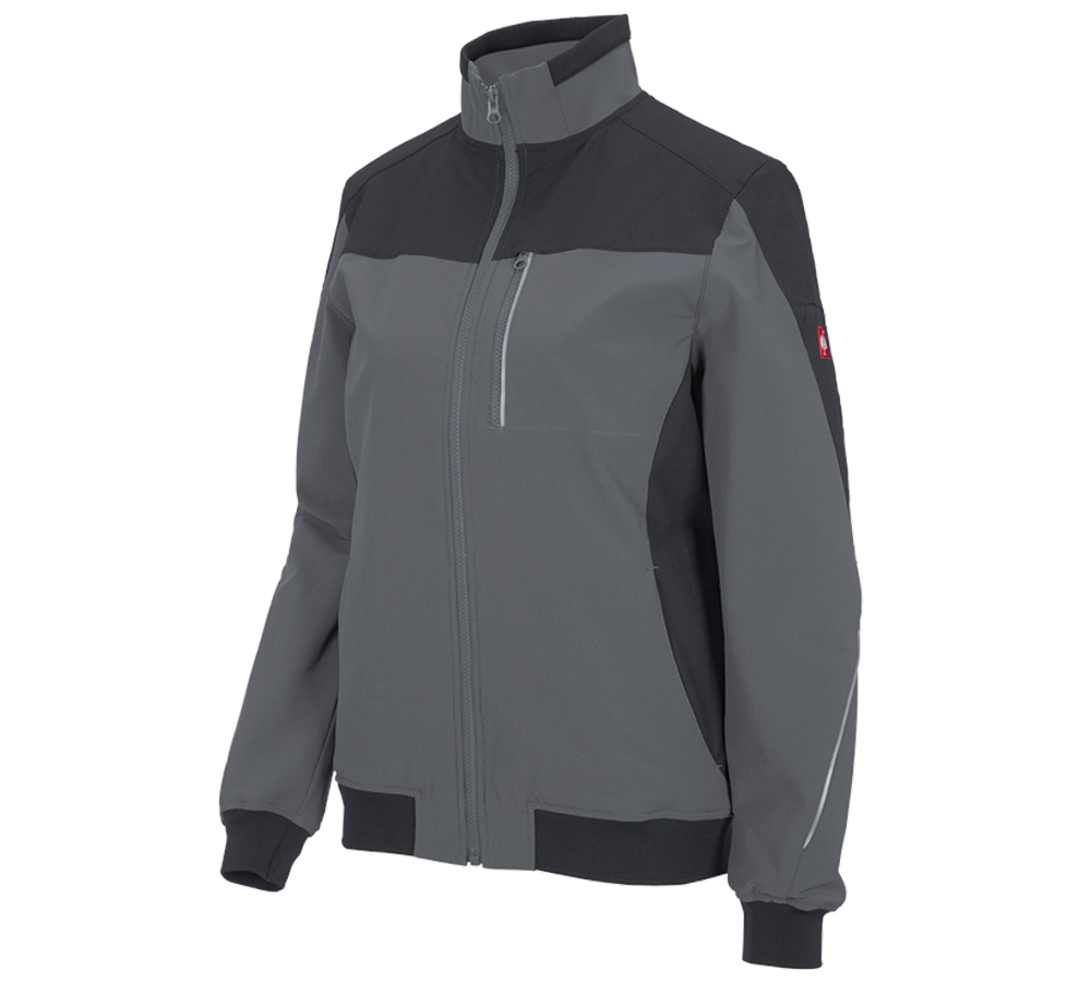 Thèmes: Veste de travail fonctionnelle e.s.dynashield, f. + ciment/graphite