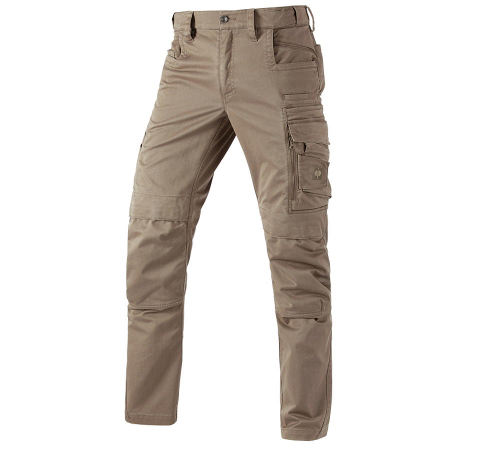 Work Trousers: Trousers e.s.motion ten + ashbrown