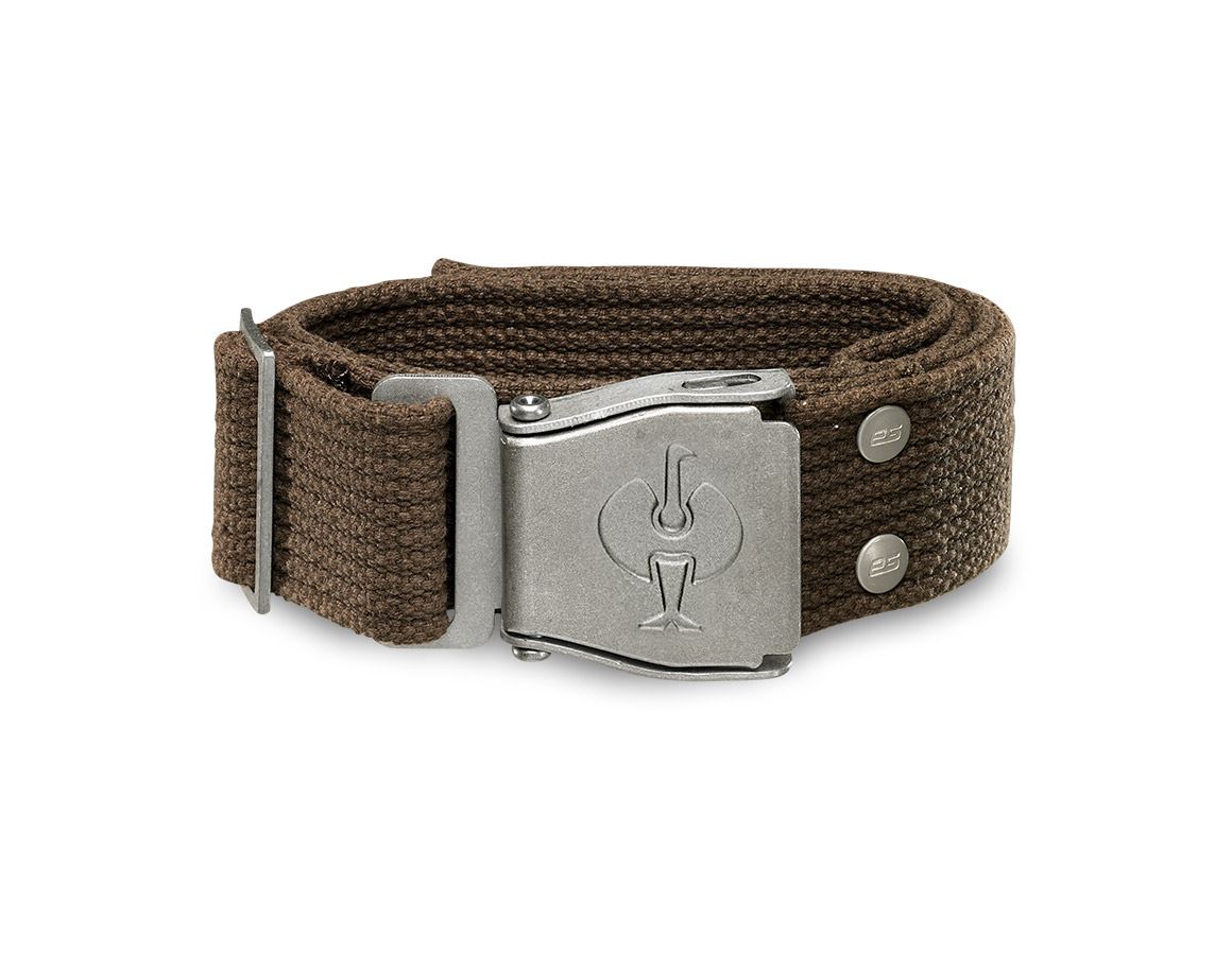 Accessoires: Ceinture e.s.motion + noisette