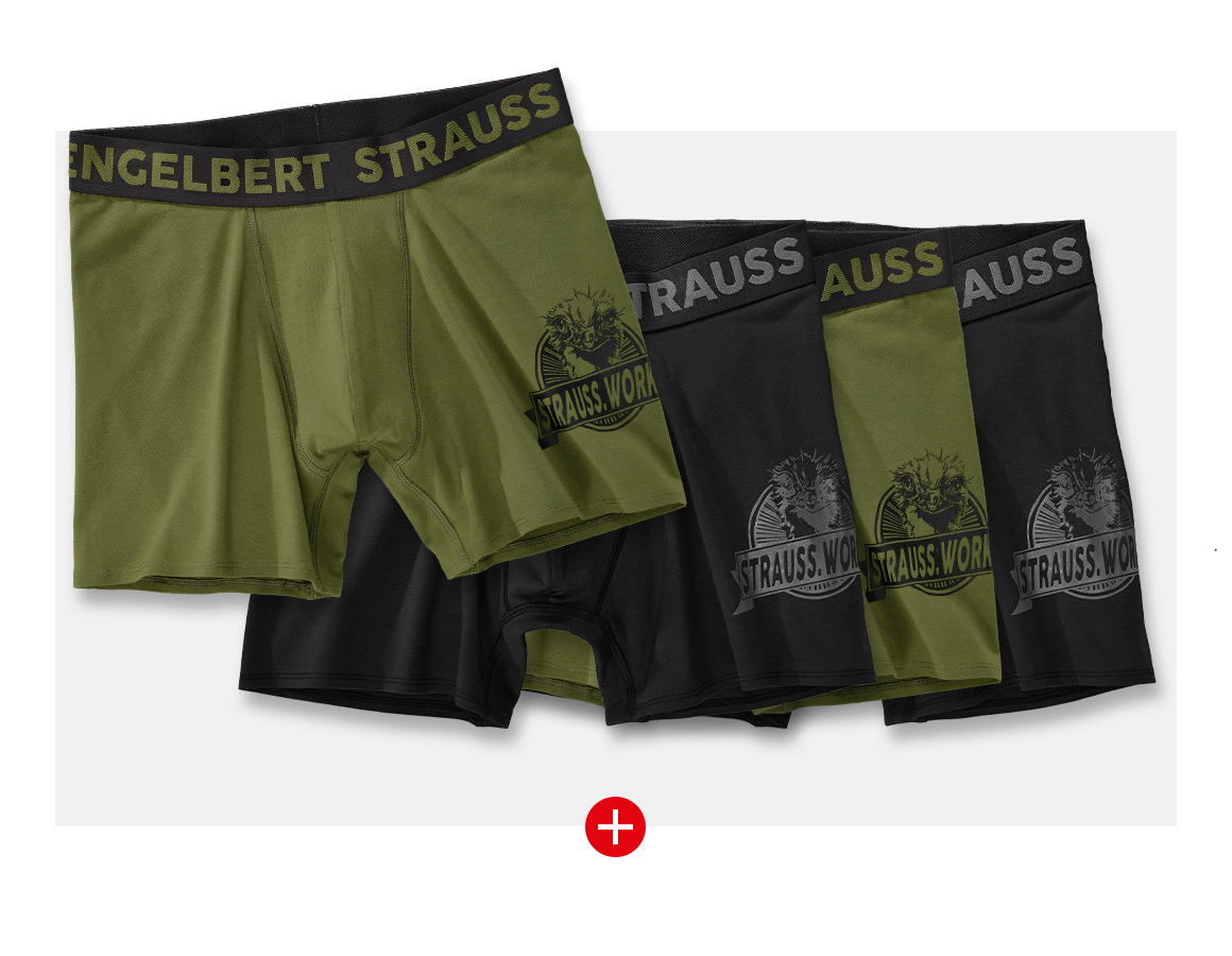 Underwear | Functional Underwear: SET: 4x Long-leg pants e.s.iconic + mountaingreen+black