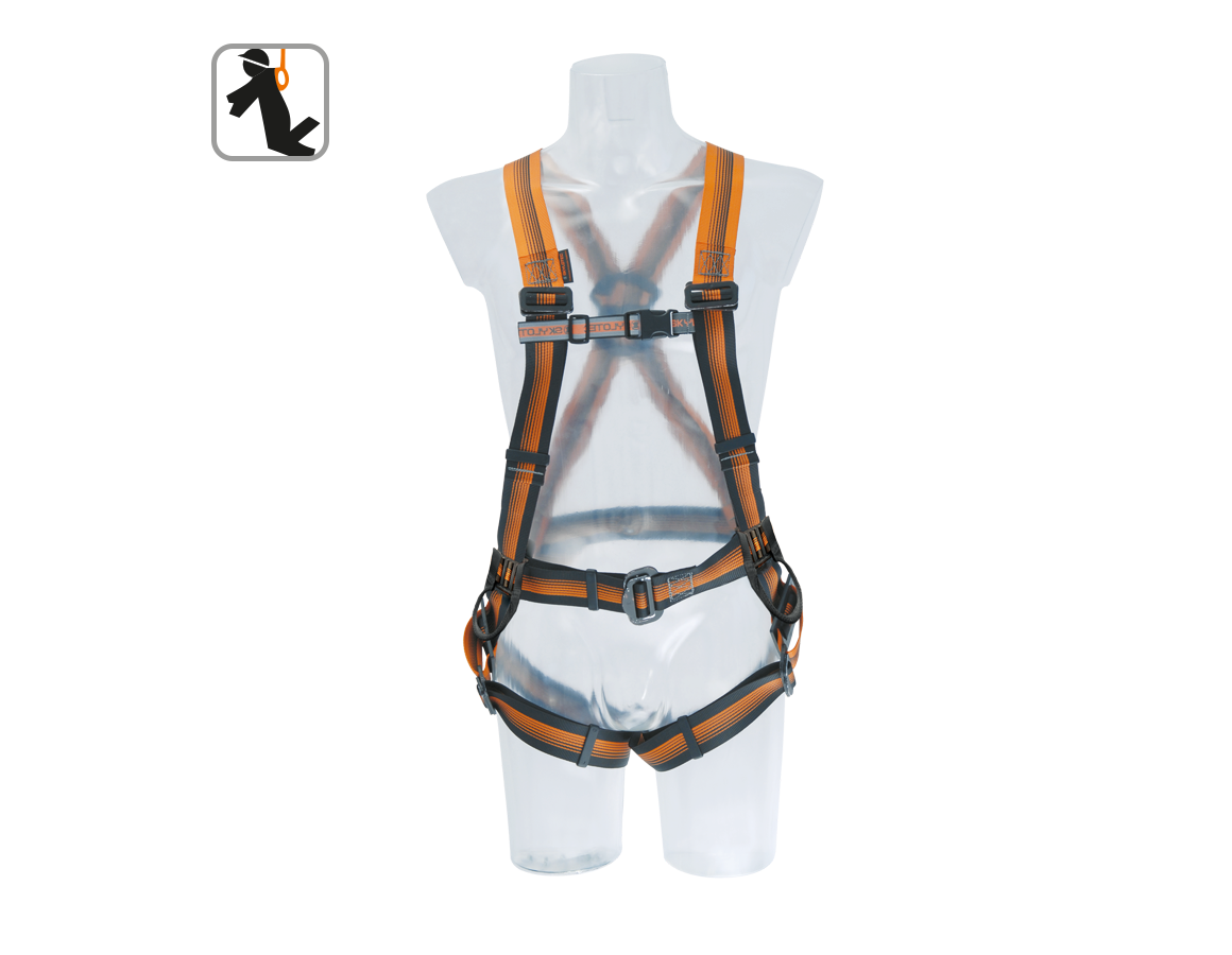 Fall Prevention: Skylotec Safety harness Standard