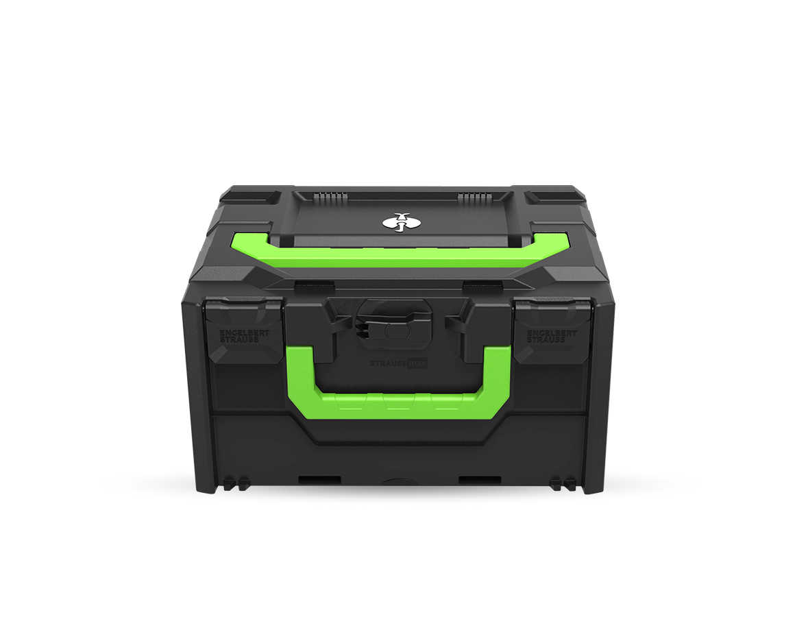 STRAUSSbox System: STRAUSSbox 215 midi Color + black