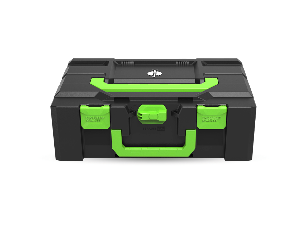 STRAUSSbox System: STRAUSSbox 165 large Color + seagreen