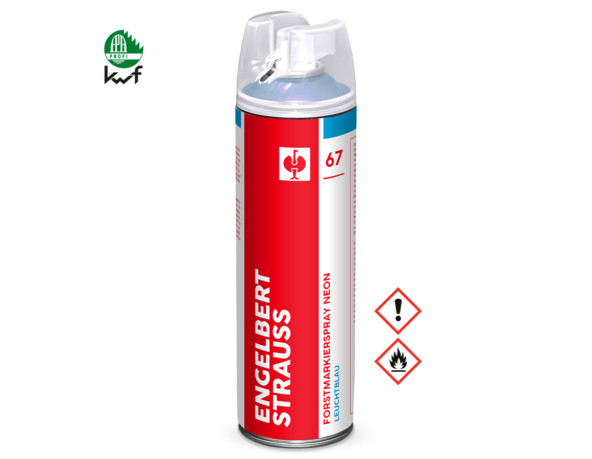 Sprays: e.s. Spray de marquage forestier Neon #67 + bleu vif