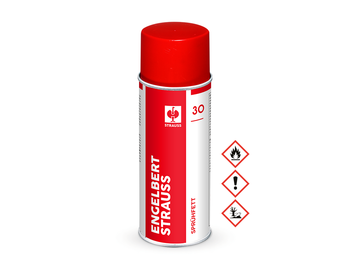 Offers of the month: Spray-on Grease #30