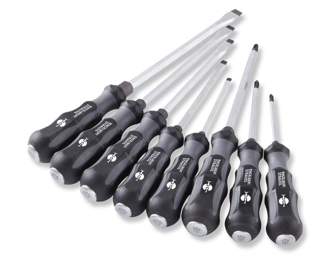 Screwdrivers: e.s. Power screwdriver set scalpro