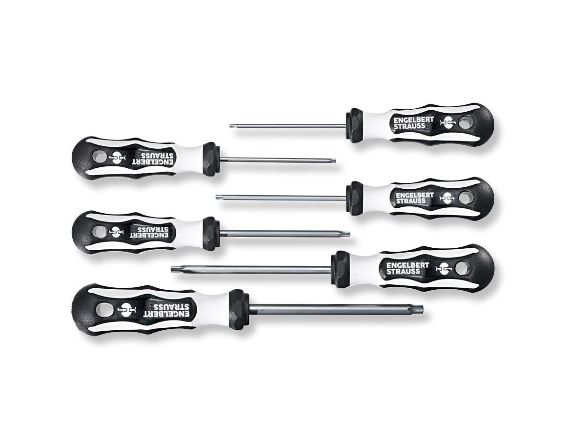 Screwdrivers: TX screwdriver set, stainless steel