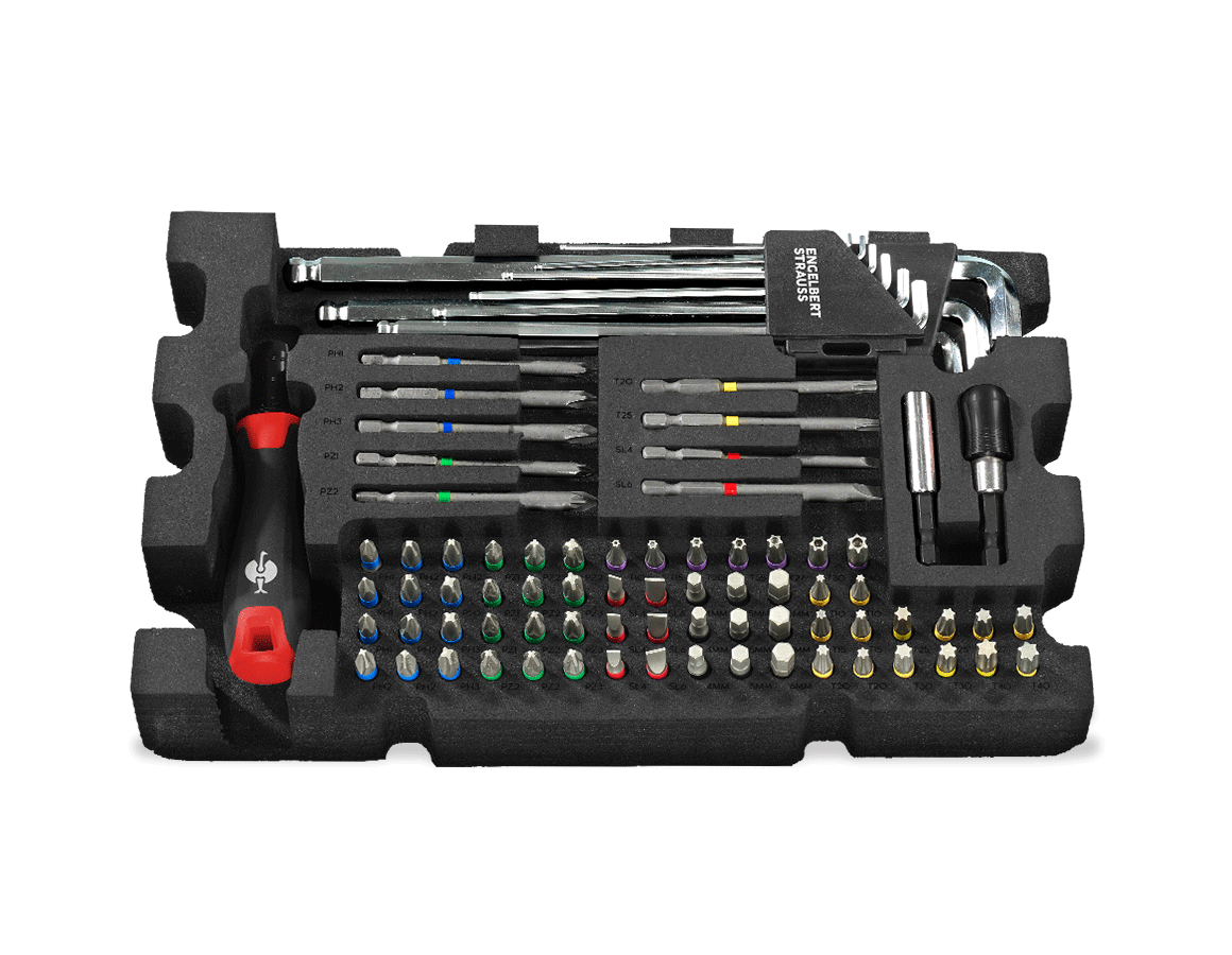 STRAUSSbox System: STRAUSSbox small screwdriver inlay, 81-piece
