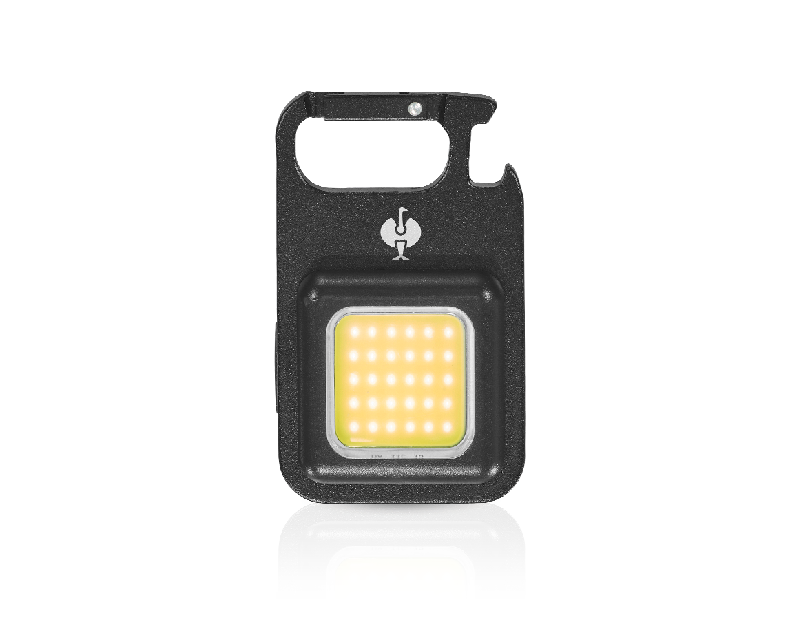 Lamps | lights: LED multi-function lamp Clip