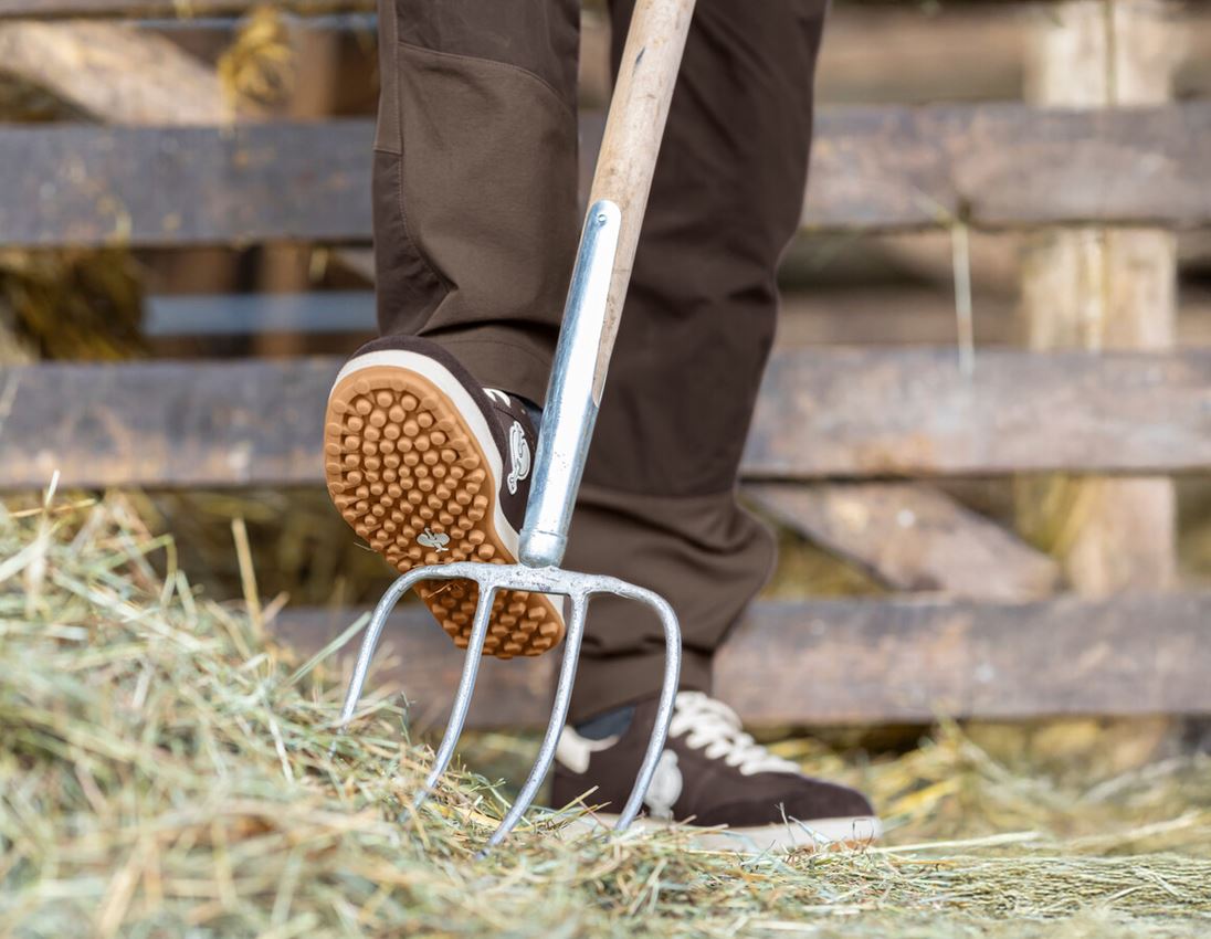 S1P: S1P Safety shoes e.s. Dothan low + chestnut 2