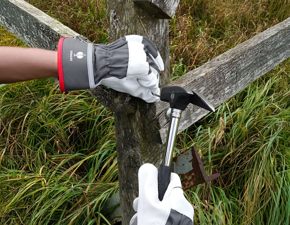 Leather: Grain leather gloves Platinum 3