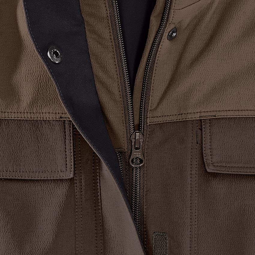 Jacken: Winter Funktions Jacke e.s.dynashield, Damen + haselnuss/kastanie 2
