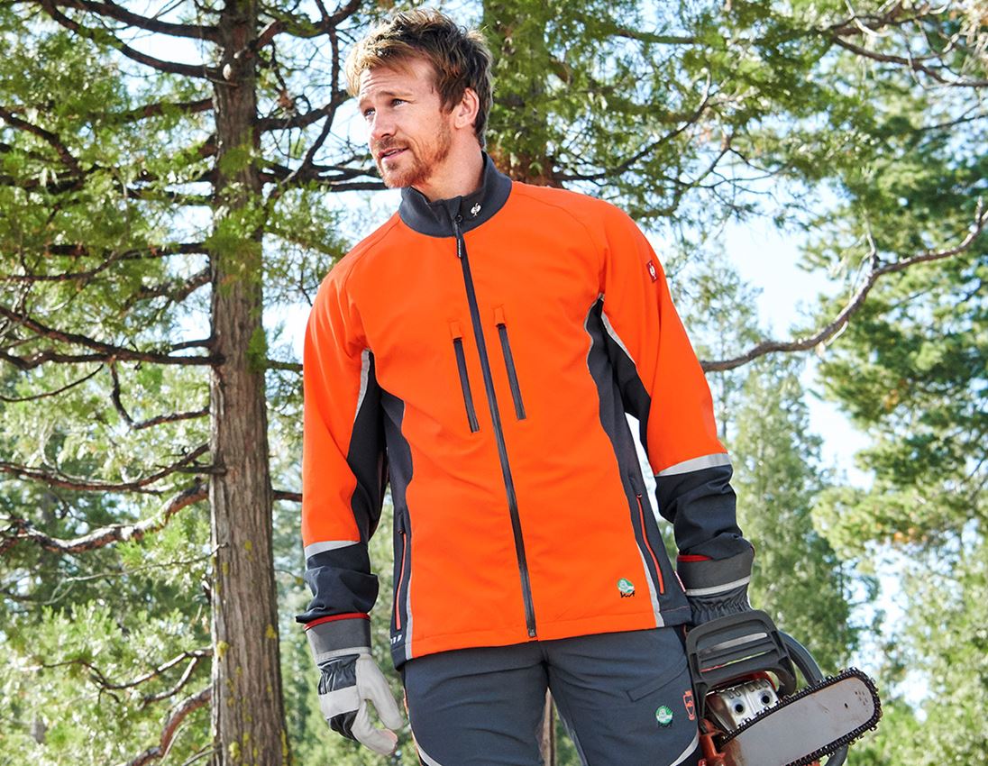 Jacken: e.s. Forst-Jacke, KWF + grau/warnorange