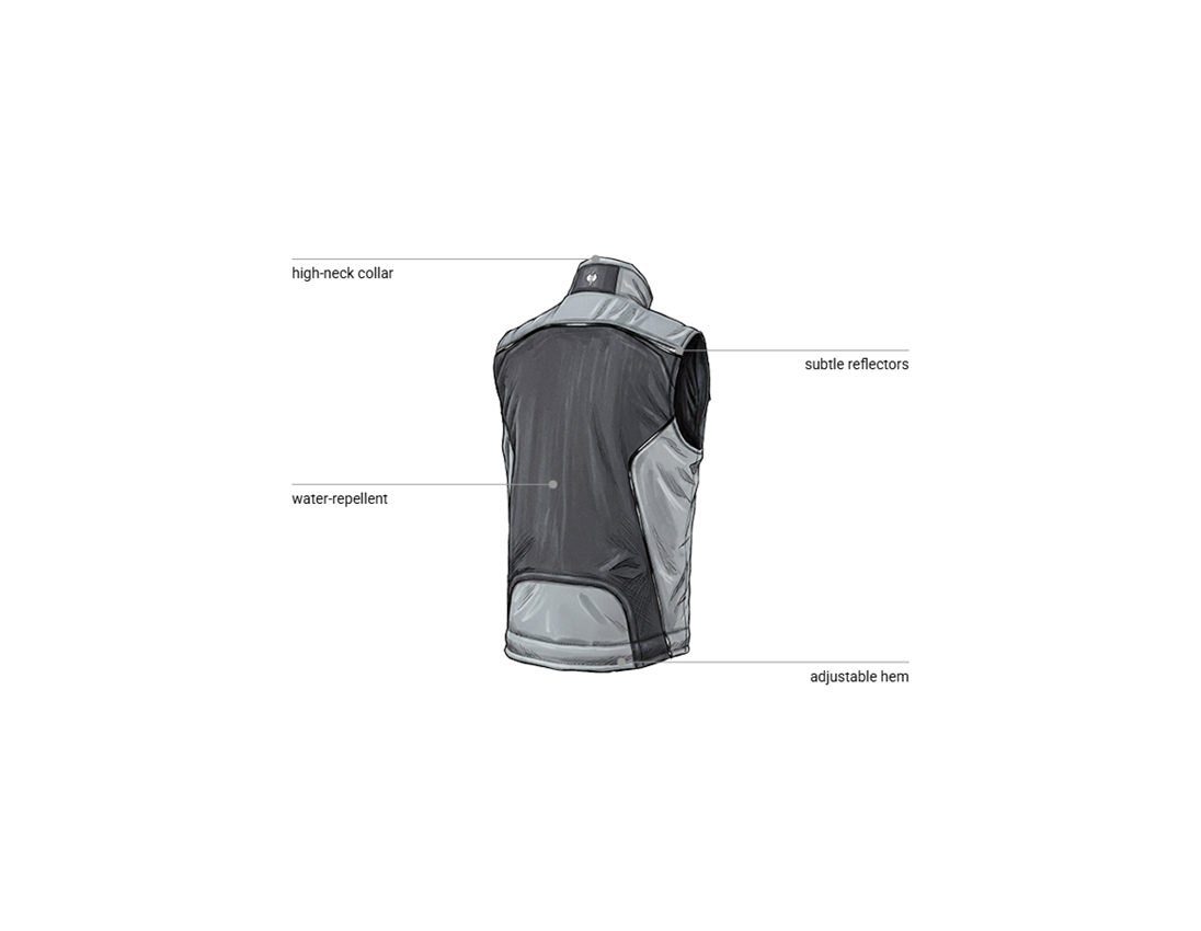 Automotive mechatronics technicians: Softshell bodywarmer e.s.motion + graphite/cement 2