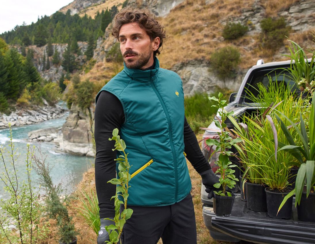 Work Body Warmer: Bodywarmer e.s.trail + emeraldgreen/chromeyellow