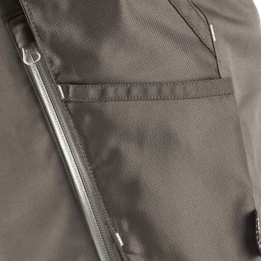 Hosen: Bundhose e.s.motion 2020 + stein/gips 2