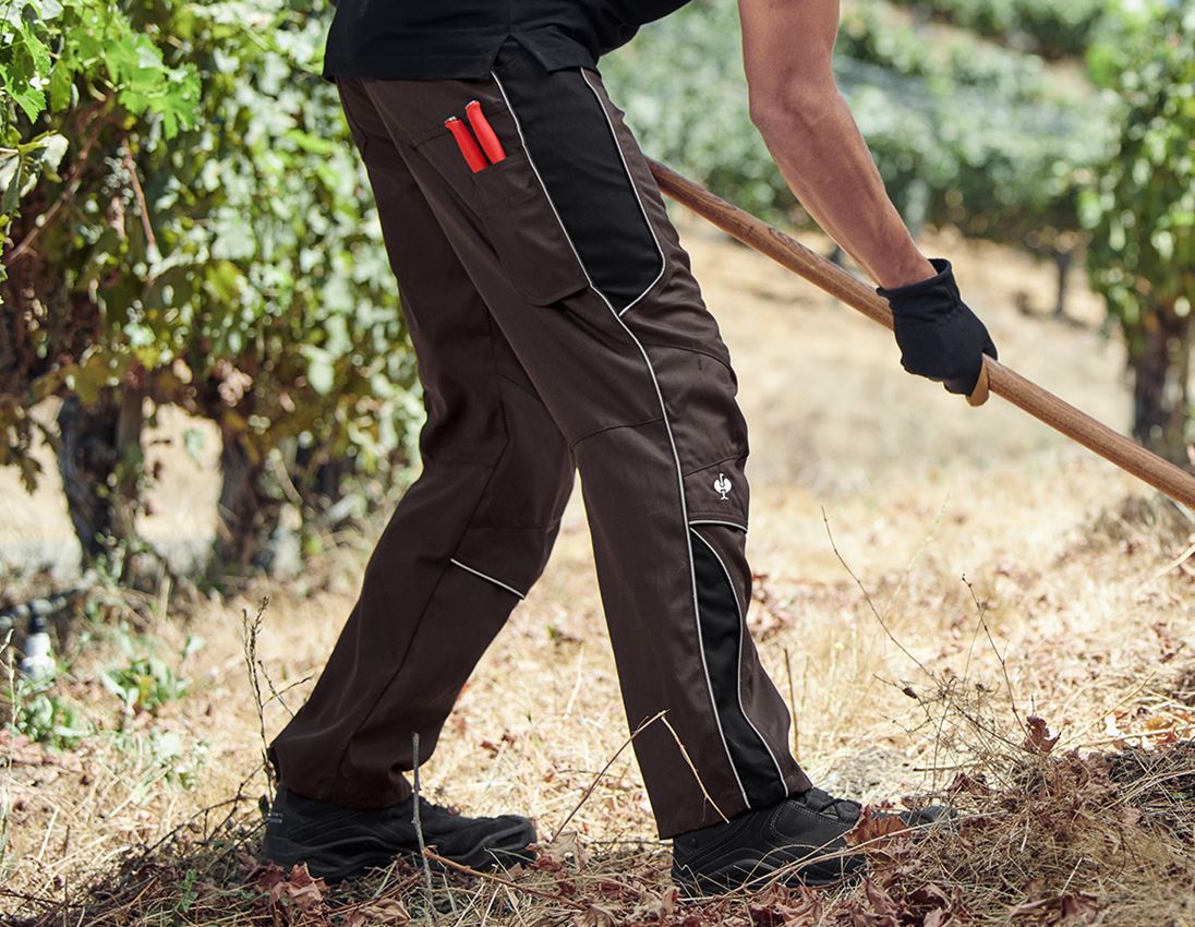 Hosen: Bundhose e.s.active + braun/schwarz 1