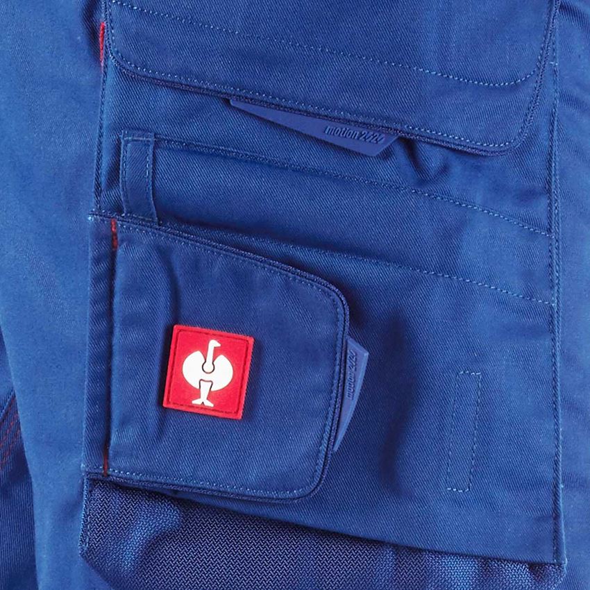 Hosen: Bundhose e.s.motion 2020 Winter, Herren + kornblau/feuerrot 2