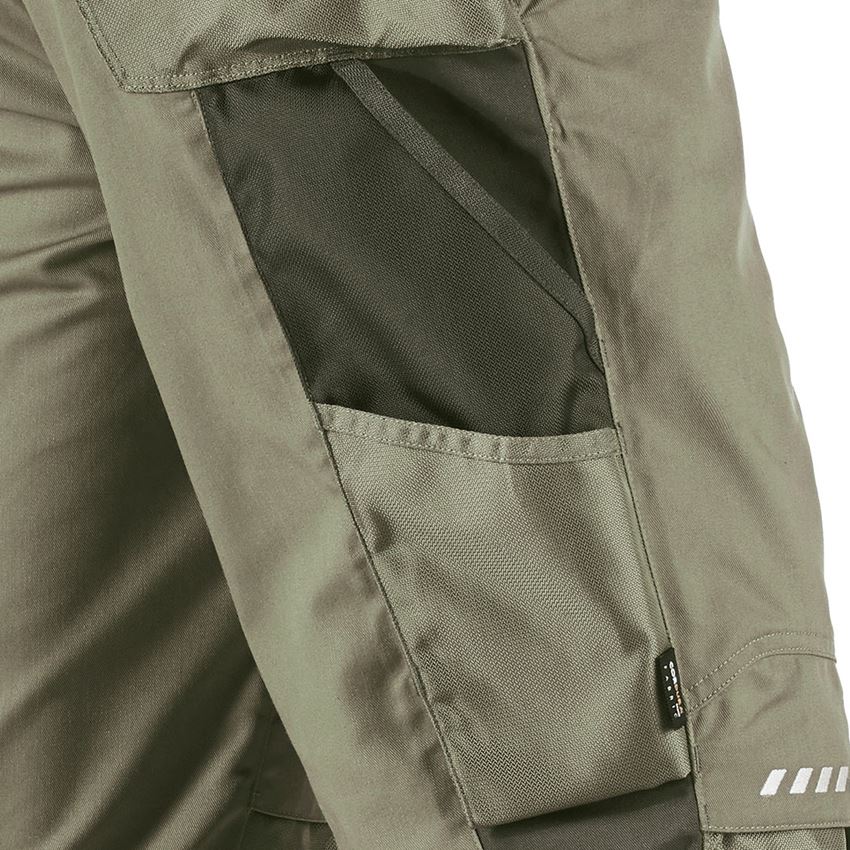 Work Trousers: Trousers e.s.motion + reed/moss 2
