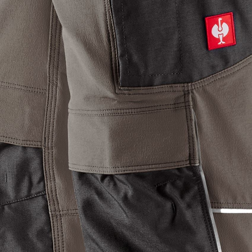 Topics: Winter functional trousers e.s.dynashield + stone/black 2