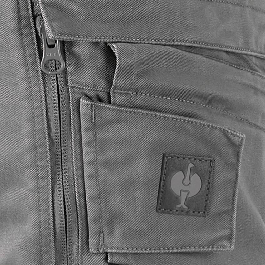 Hosen: Bundhose e.s.motion ten + granit 2