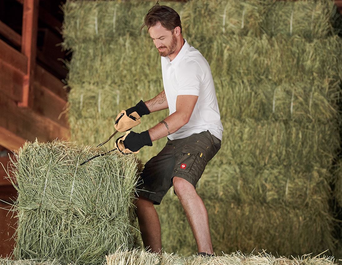 Pantalons de travail: Short e.s. carat + olive/jaune 1