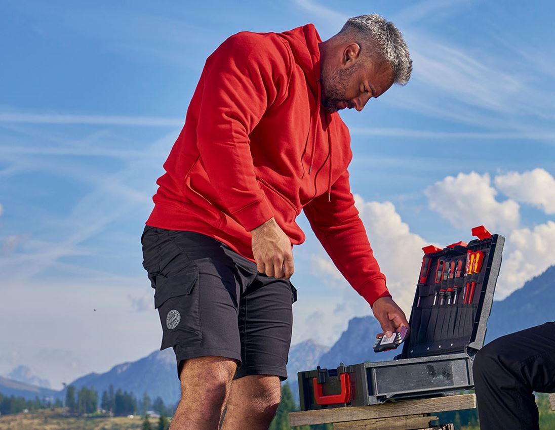 Collaborations: FCB Work Shorts Functional Cargo + black 1