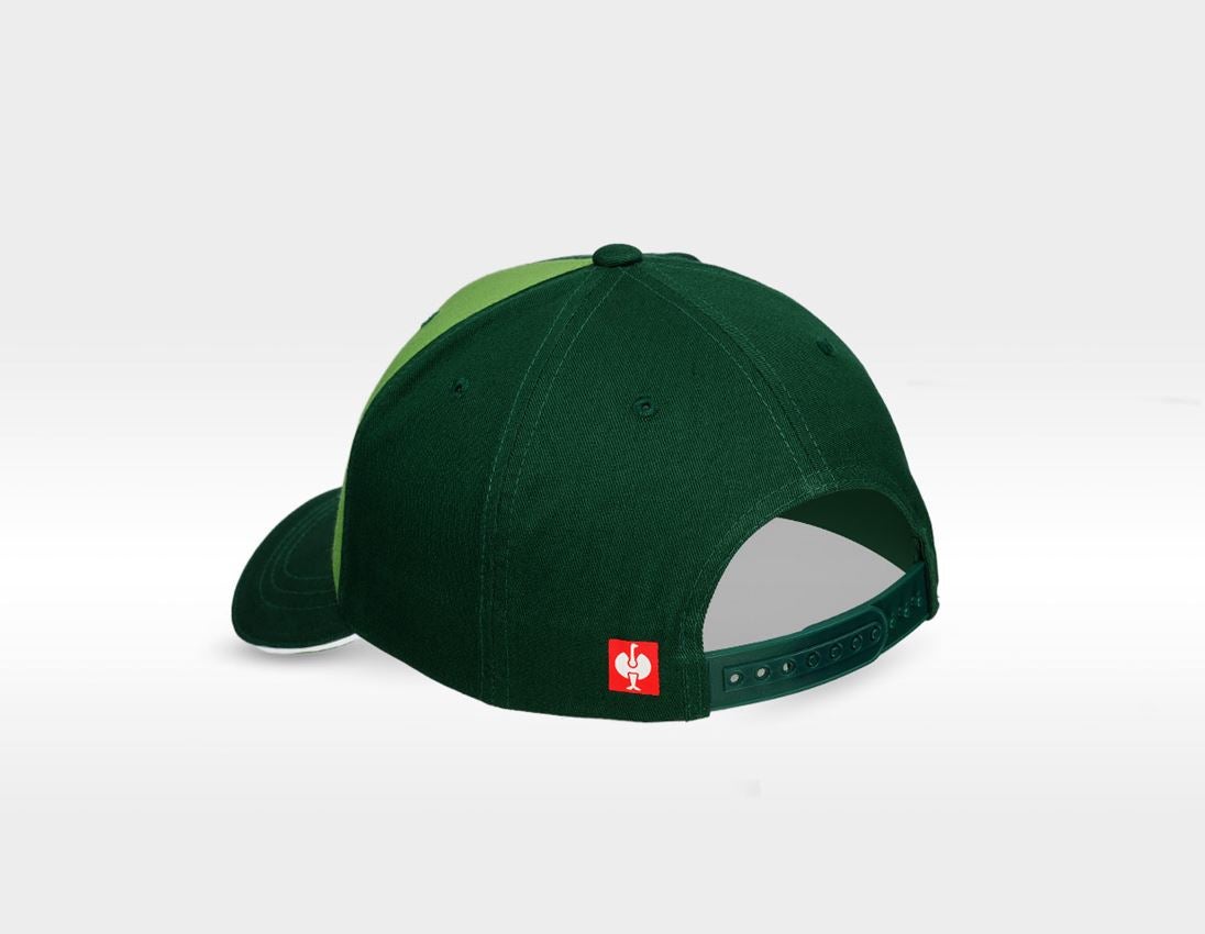 Accessories: e.s. Cap motion 2020 + green/seagreen 2