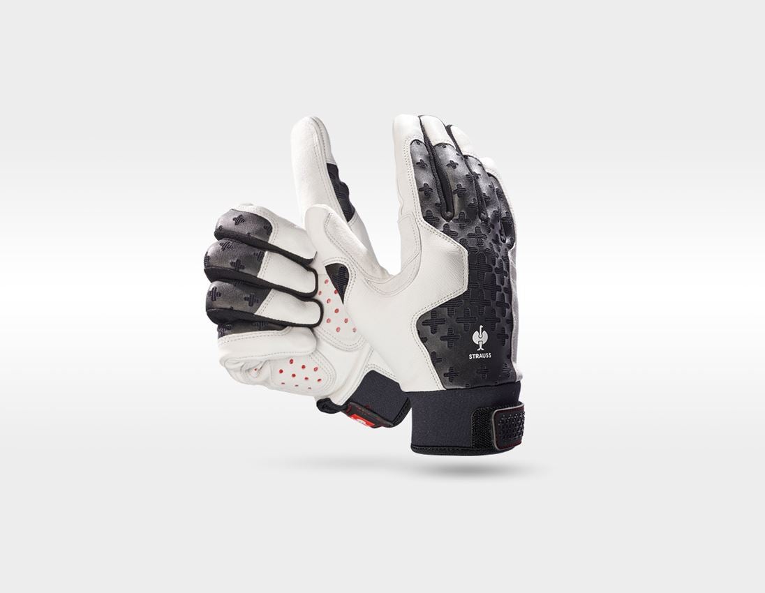 Personal Protection: SET: Forestry helmet Protos + STRAUSSbox 340 midi + black/grey 1