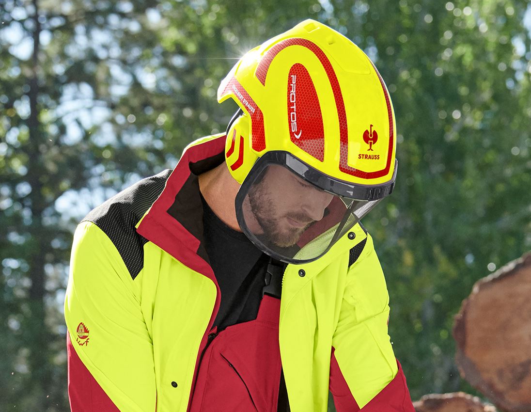 Schutzhelme: e.s. Forsthelm Protos® + warngelb/feuerrot