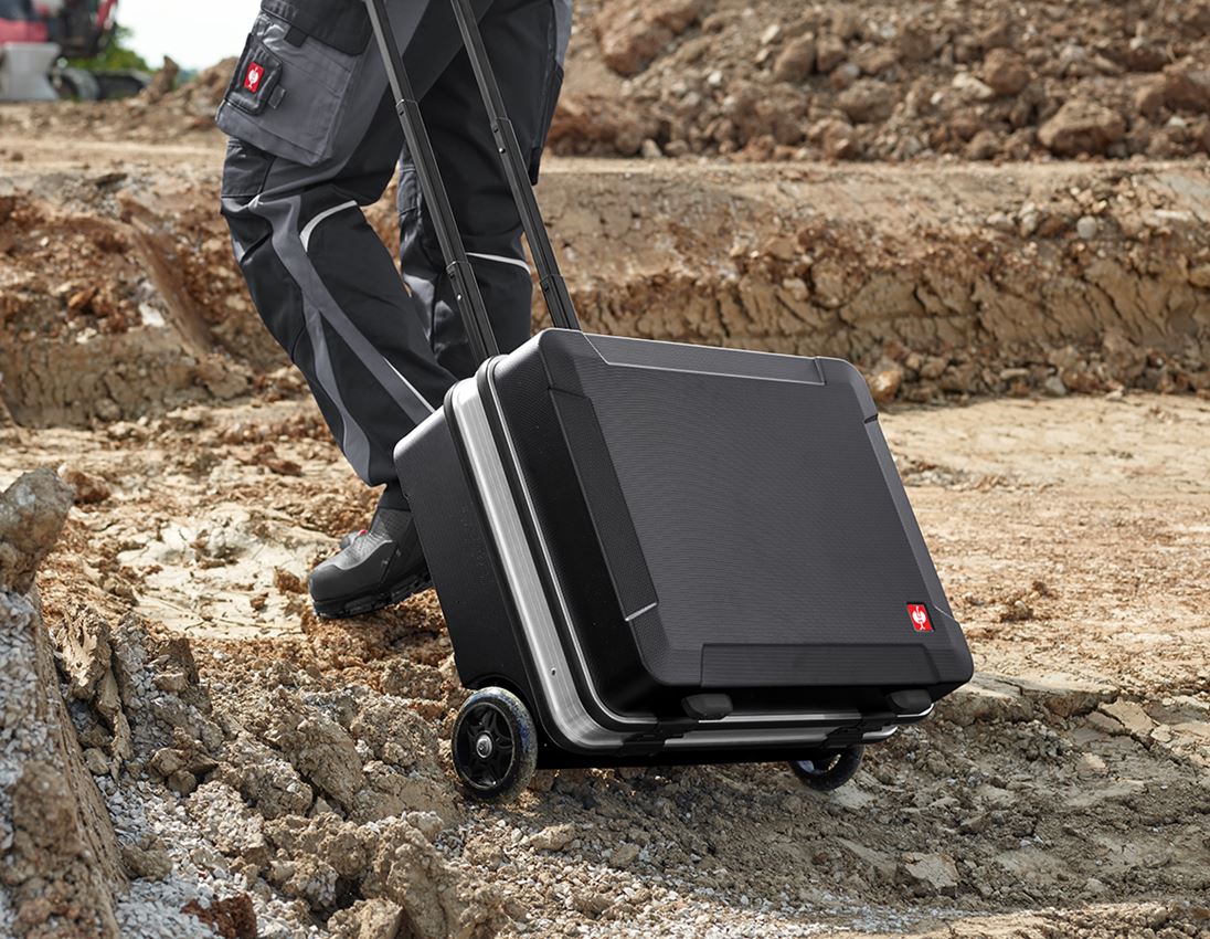 Tool Cases: e.s. Tool trolley professional cross