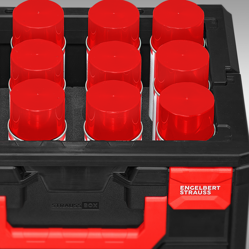 STRAUSSbox System: STRAUSSbox 215 midi tool carrier Set I 2