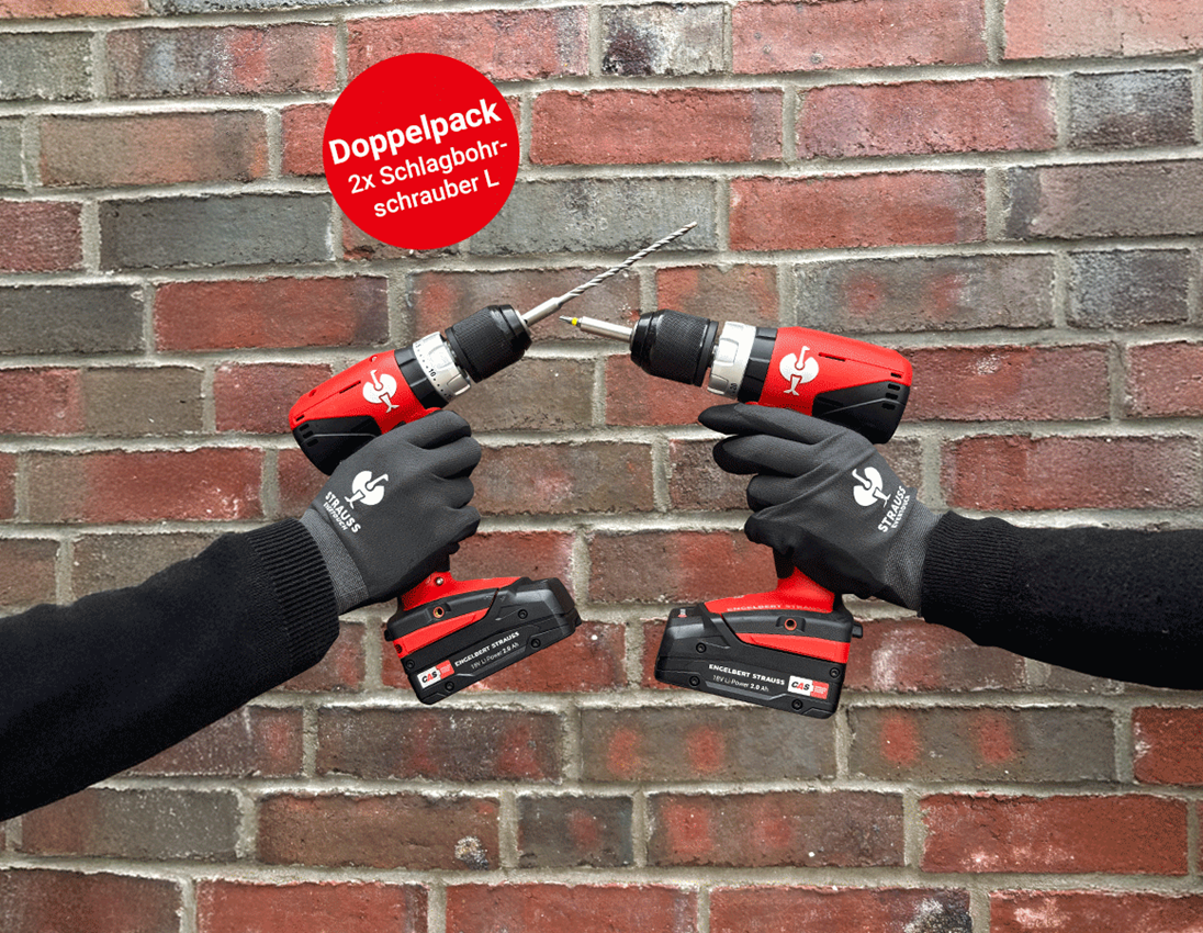 Elektrowerkzeuge: 2x 18,0 V Akku-Schlagbohrschrauber L